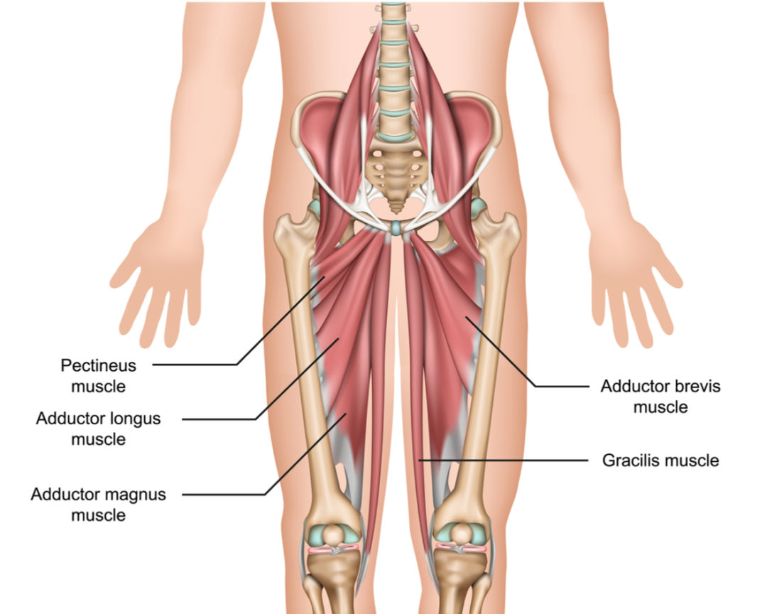 know-your-abdominal-pain-nursing-school-tips-nursing-school-medical