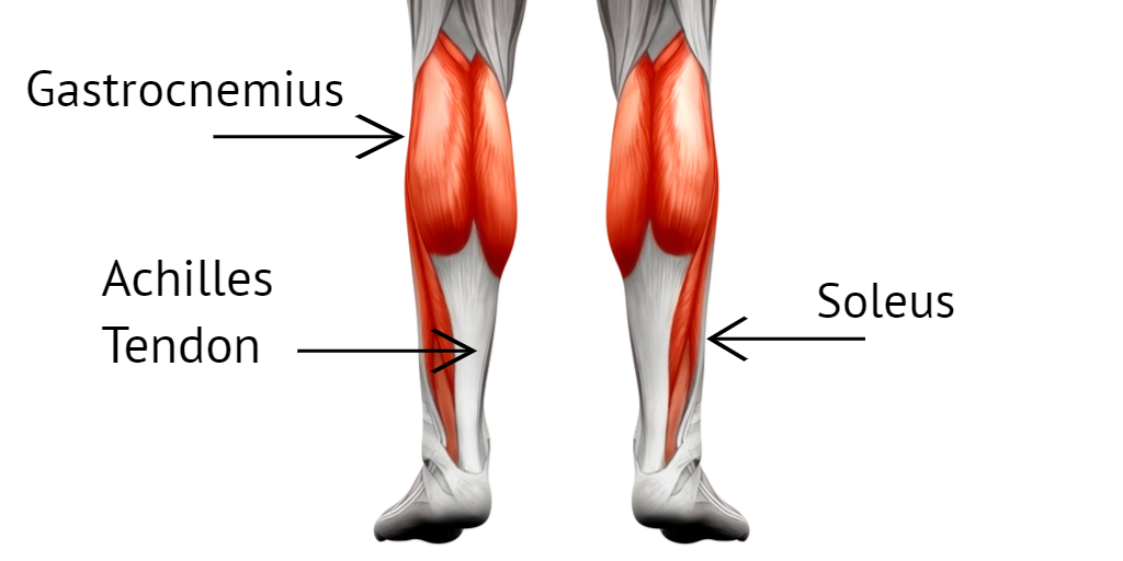 achilles calf pain