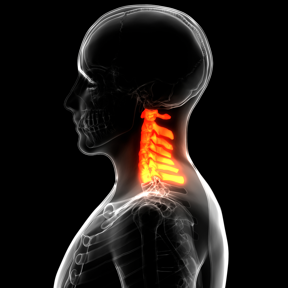 Cervical spine anatomy