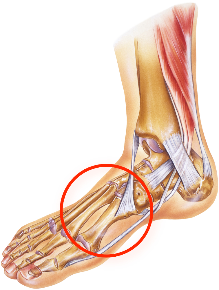 A Guide to Physical Therapy for Foot and Ankle Pain - CityPT