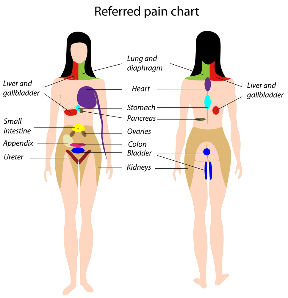 Thoracic pain on sale