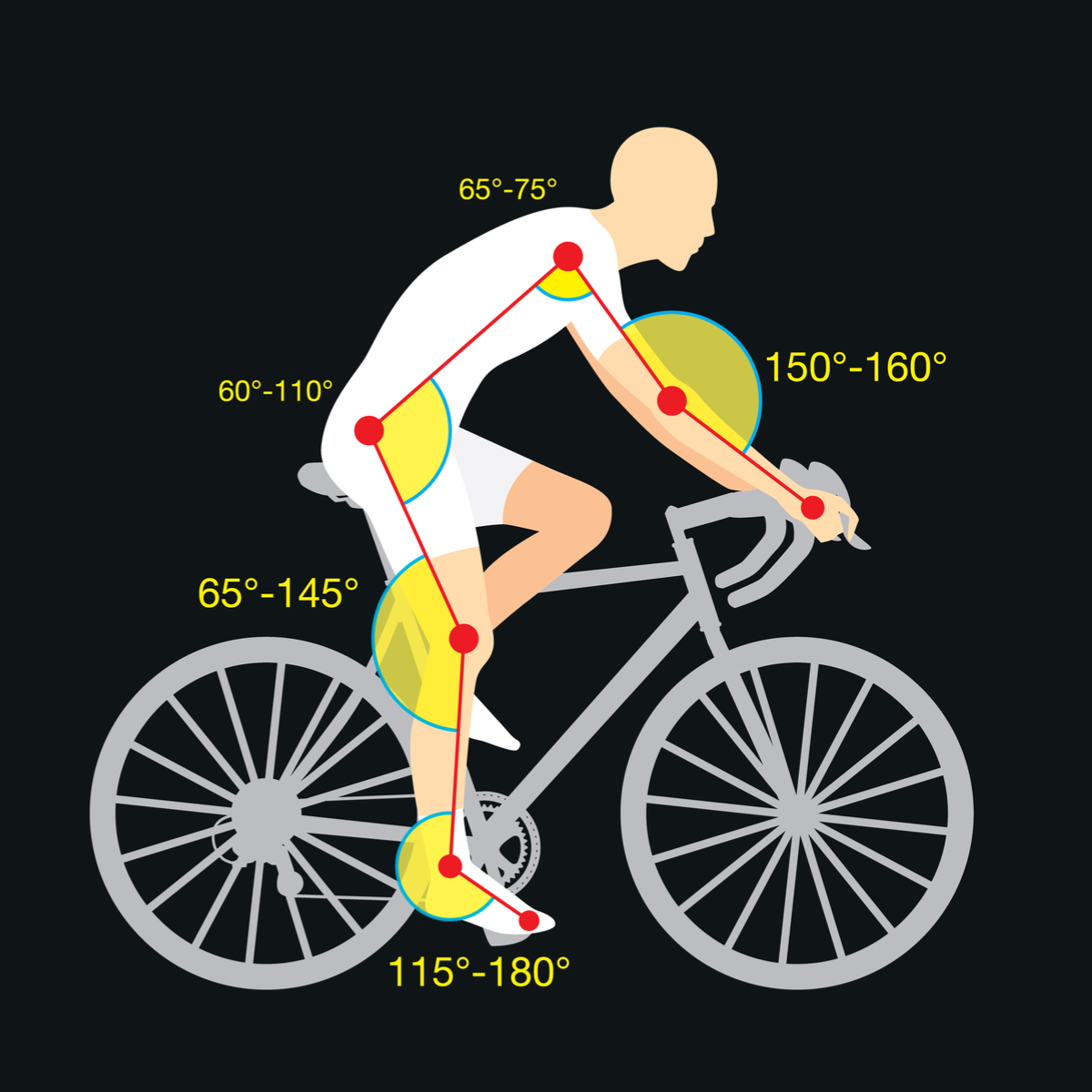 Women's Bike Fit Guide at paullbatemano blog